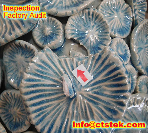Chaozhou toilet Inspection Services